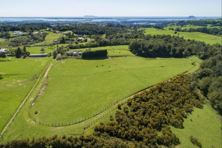 Photo of property in 30 Goodall Road, Snells Beach, 0920