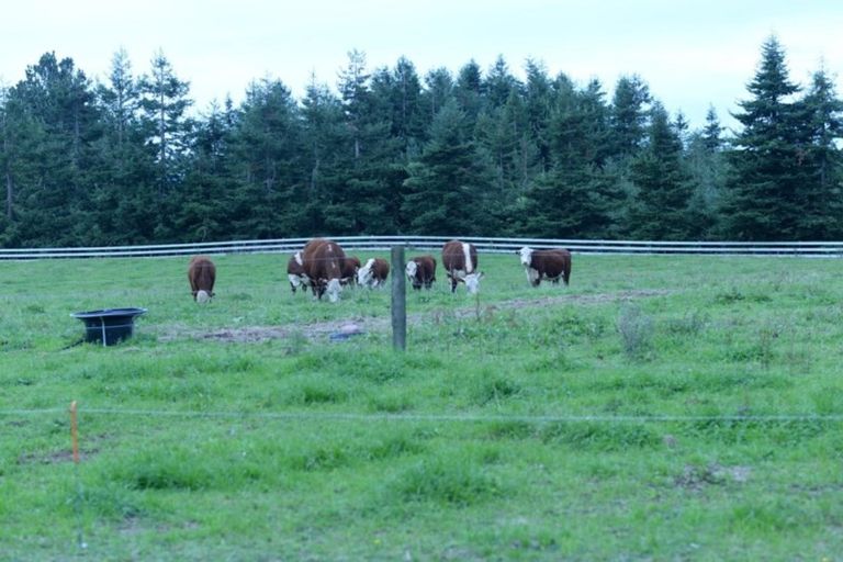 Photo of property in 5 Sarona Park Drive, Omanawa, Tauranga, 3171