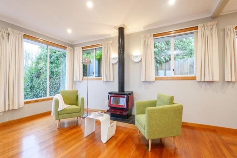 Photo of property in 161 Signal Hill Road, Opoho, Dunedin, 9010