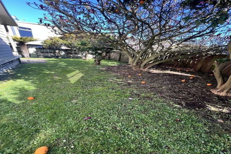 Photo of property in 64 May Street, Hamilton East, Hamilton, 3216