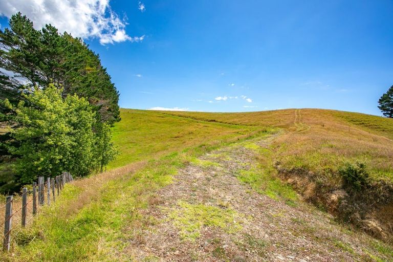 Photo of property in 52 The 309 Road, Preece Point, Coromandel, 3581