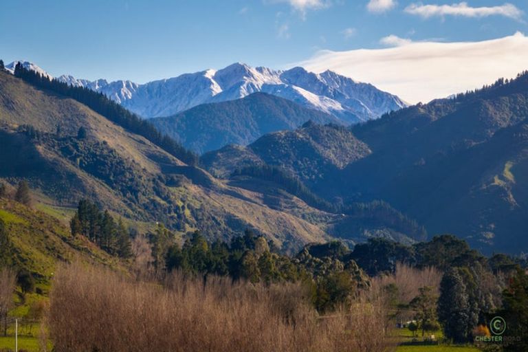 Photo of property in 349 Haringa Road, Carrington, Carterton, 5791