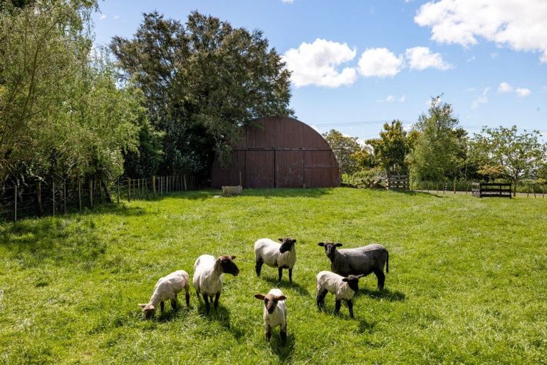 Photo of property in 5 Scotsman Valley Road, Tauwhare, Hamilton, 3287