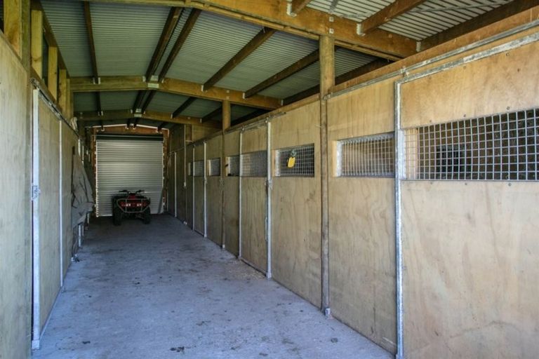 Photo of property in 376 Morgan Road, Matamata, 3472