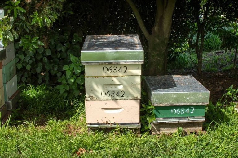 Photo of property in 27 Waikite Road, Welcome Bay, Tauranga, 3112