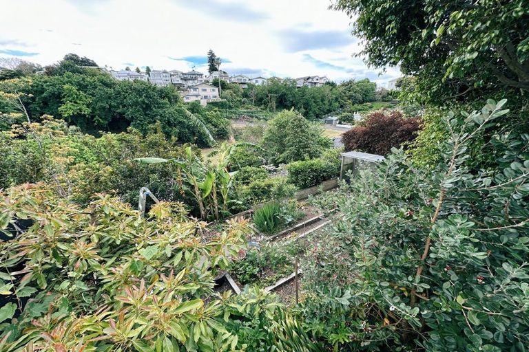 Photo of property in 9 May Avenue, Hospital Hill, Napier, 4110