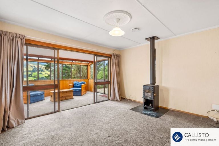 Photo of property in 213 Signal Hill Road, Opoho, Dunedin, 9010