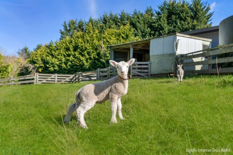 Photo of property in 297 Homestead Road, Weston, Oamaru, 9491