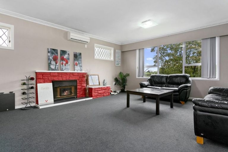 Photo of property in 113 Buckland Street, Putaruru, 3411