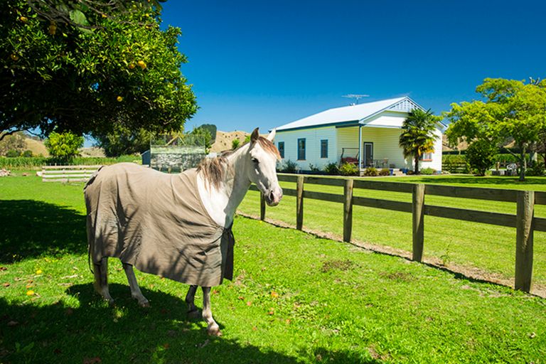 Photo of property in 373 Tiniroto Road, Patutahi, Gisborne, 4072