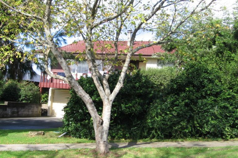 Photo of property in 8 Yarra Place, Botany Downs, Auckland, 2010