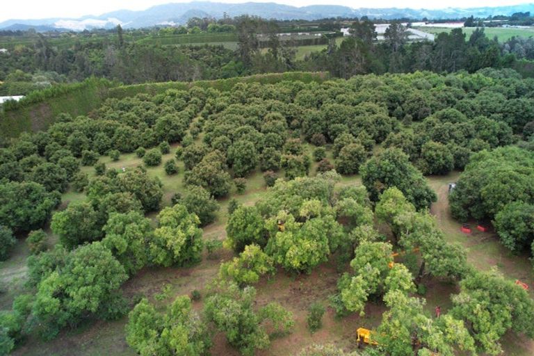 Photo of property in 400 Te Matai Road, Te Puke, 3188