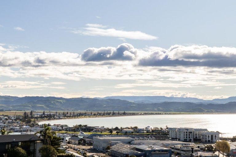 Photo of property in 21 Denholm Road, Hospital Hill, Napier, 4110