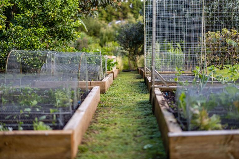 Photo of property in 71 Riddell Road, Kerikeri, 0230