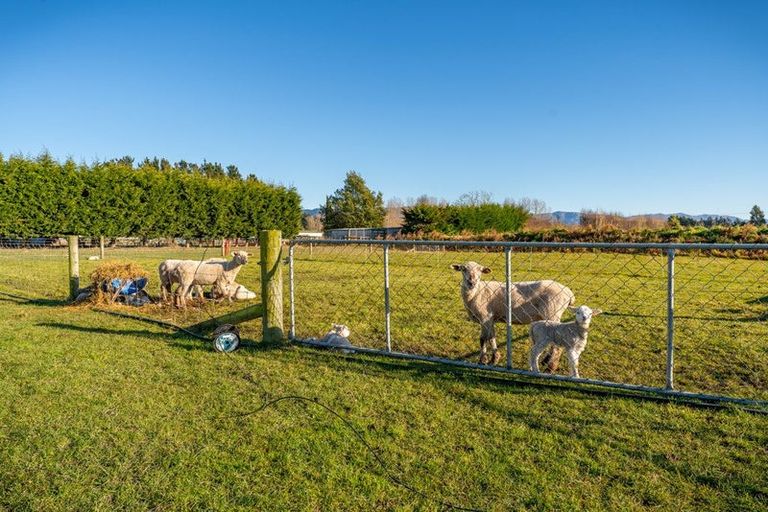 Photo of property in 14 Bathgates Road, Waimate, 7980