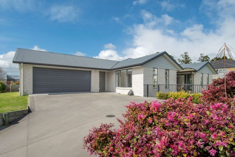 Photo of property in 161 Rowesdale Drive, Ohauiti, Tauranga, 3112