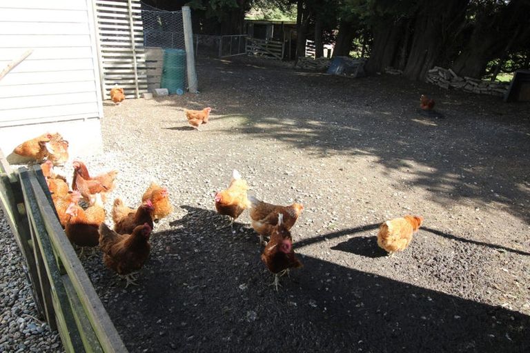 Photo of property in 516 Edendale Seaward Downs Road, Edendale, Wyndham, 9893