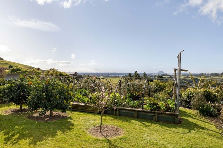 Photo of property in 393 Upper Ohauiti Road, Ohauiti, Tauranga, 3173