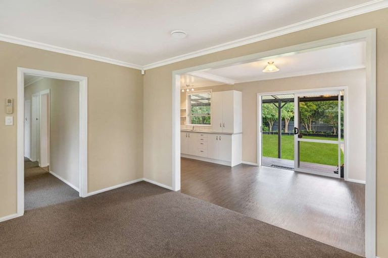 Photo of property in 56 Windsor Street, Terrace End, Palmerston North, 4410