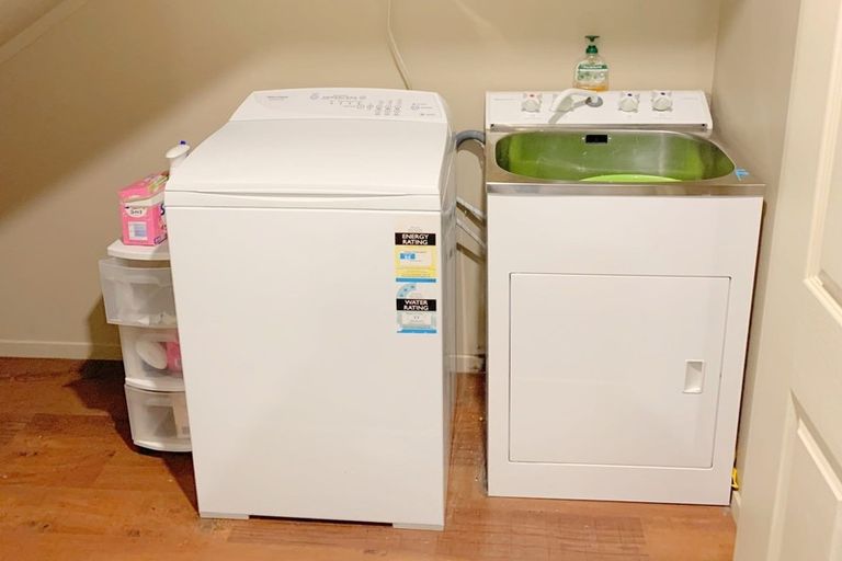 Photo of property in 42c Willoughby Street, Whitiora, Hamilton, 3200