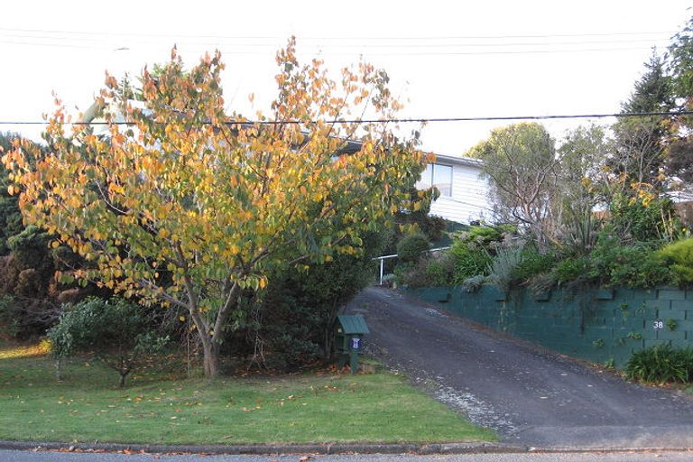 Photo of property in 38 Leinster Avenue, Raumati South, Paraparaumu, 5032