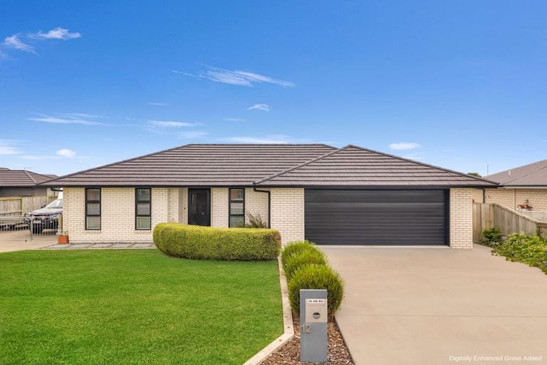 Photo of property in 12 Costello Drive, Ngatea, 3503