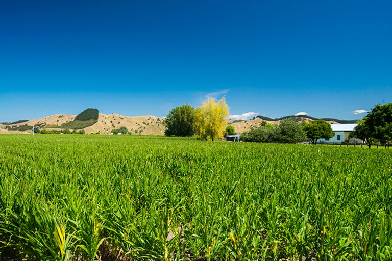 Photo of property in 373 Tiniroto Road, Patutahi, Gisborne, 4072