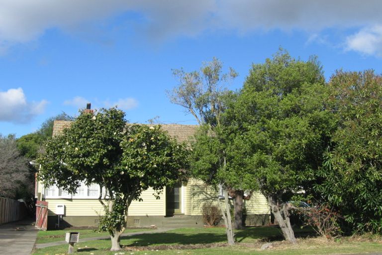 Photo of property in 607 Titoki Street, Mahora, Hastings, 4120