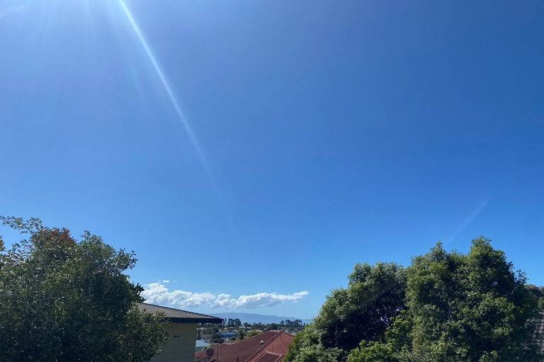 Photo of property in 25 Douglas Road, Wakatu, Nelson, 7011