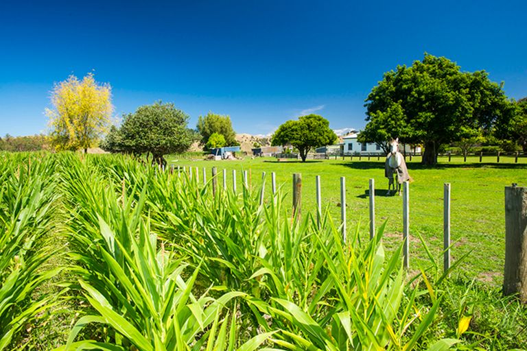 Photo of property in 373 Tiniroto Road, Patutahi, Gisborne, 4072