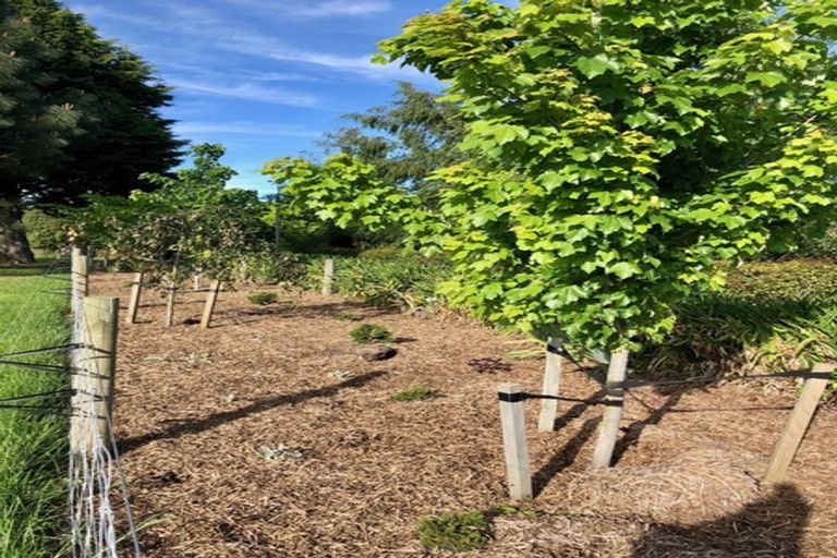 Photo of property in 53 Mclaughlins Road, Darfield, 7571