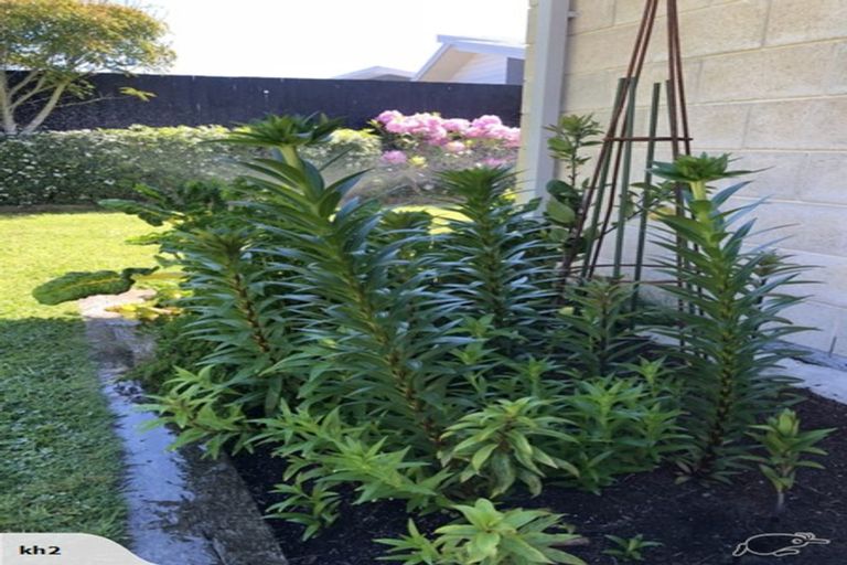 Photo of property in 5 Foresters Crescent, Parklands, Christchurch, 8083