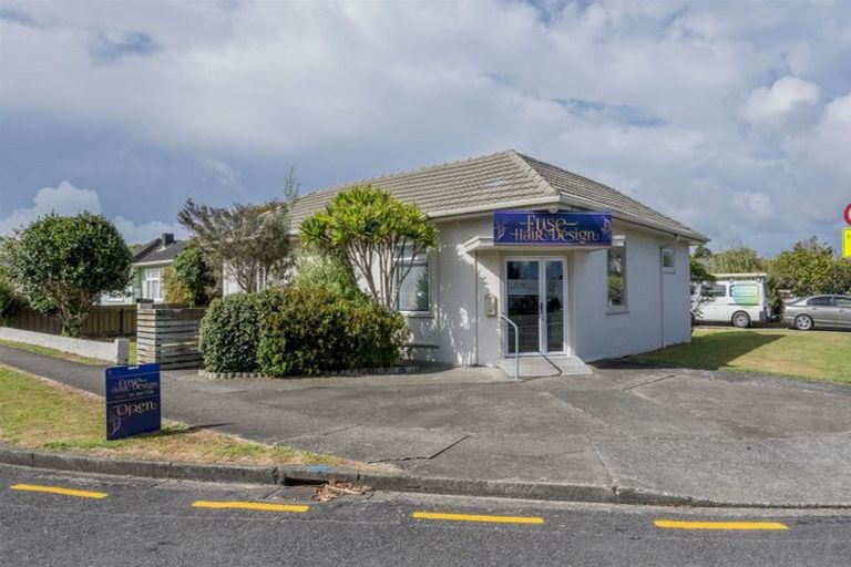 Photo of property in 41 York Street, Levin, 5510