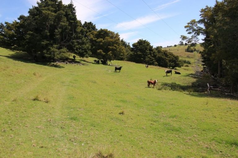 Photo of property in 2821 State Highway 1, Umawera, Okaihau, 0476