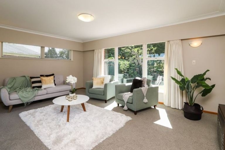 Photo of property in 53 Berkley Avenue, Hillcrest, Hamilton, 3216