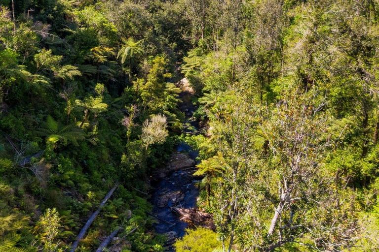 Photo of property in 316b Waitao Road, Waitao, Tauranga, 3175