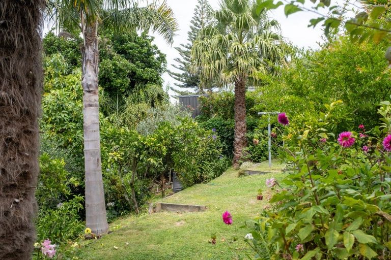 Photo of property in 13 Roslyn Road, Bluff Hill, Napier, 4110