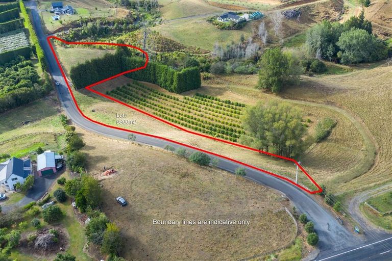 Photo of property in 145a Whakamarama Road, Whakamarama, Tauranga, 3179