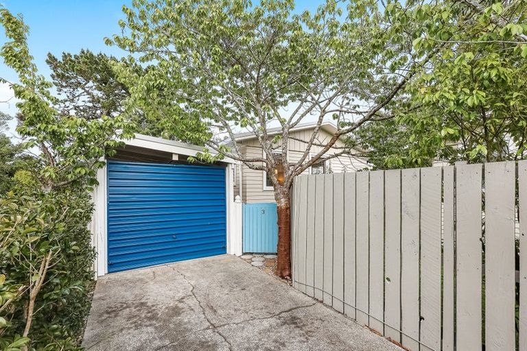 Photo of property in 3/36 Daytona Road, Henderson, Auckland, 0610