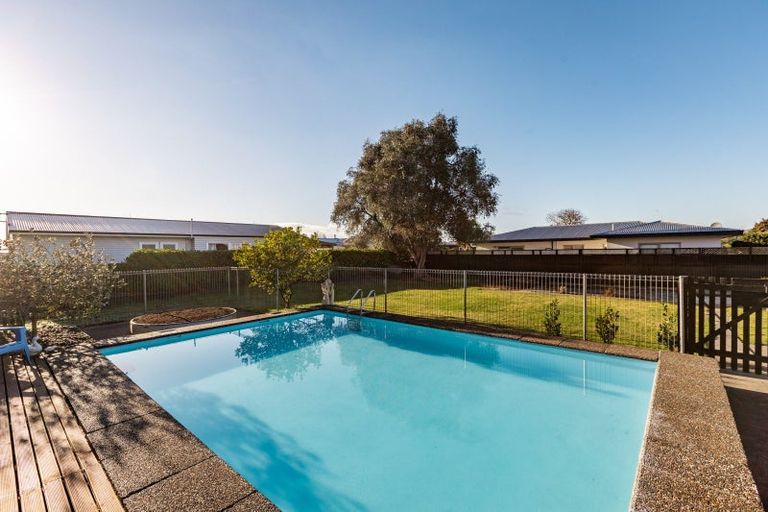 Photo of property in 910a Ferguson Street, Akina, Hastings, 4122