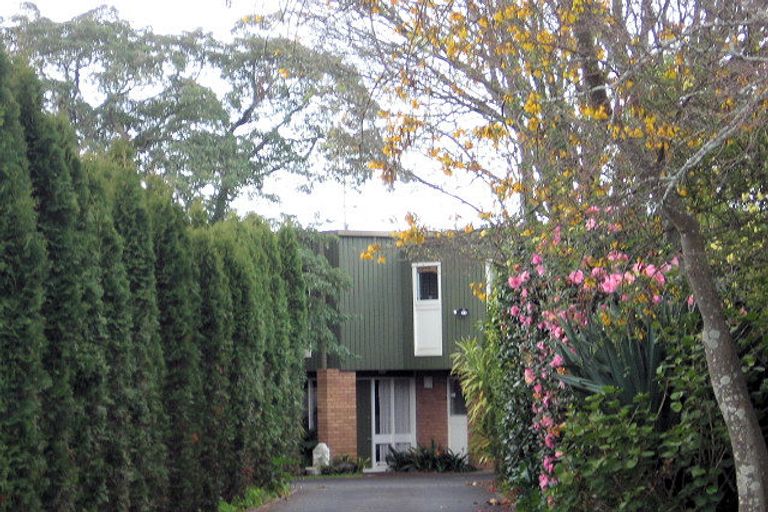 Photo of property in 22 Darraghs Road, Brookfield, Tauranga, 3110