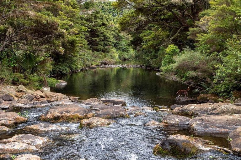 Photo of property in 301 Puketotara Road, Waipapa, Kerikeri, 0295