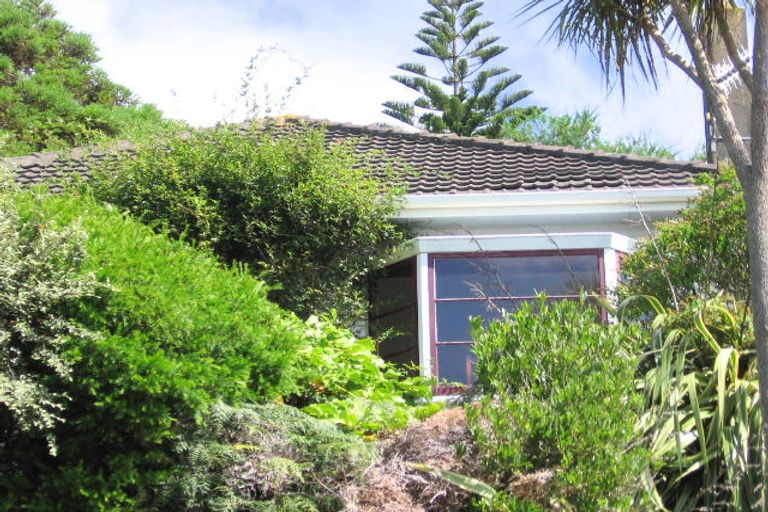 Photo of property in 79 Balfour Street, Mornington, Wellington, 6021