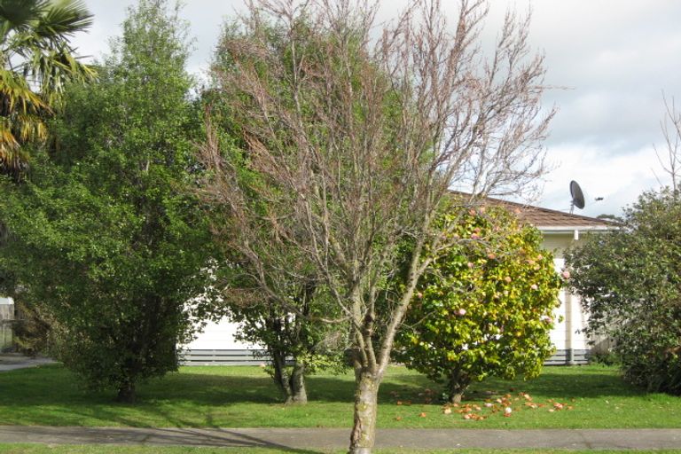 Photo of property in 56 Tasman Street, Havelock North, 4130