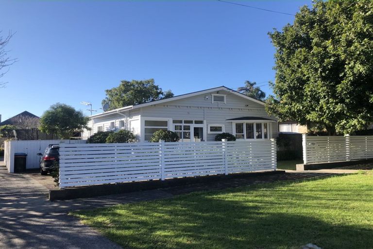 Photo of property in 9 Hazel Avenue, Mount Roskill, Auckland, 1041