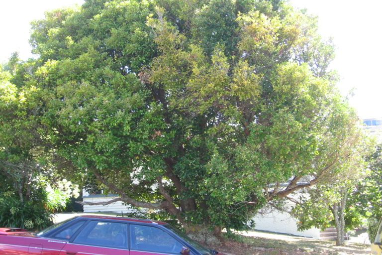 Photo of property in 42a Masterton Road, Rothesay Bay, Auckland, 0630