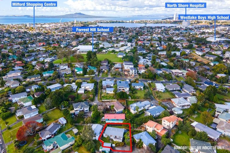 Photo of property in 1/48 Bond Crescent, Forrest Hill, Auckland, 0620