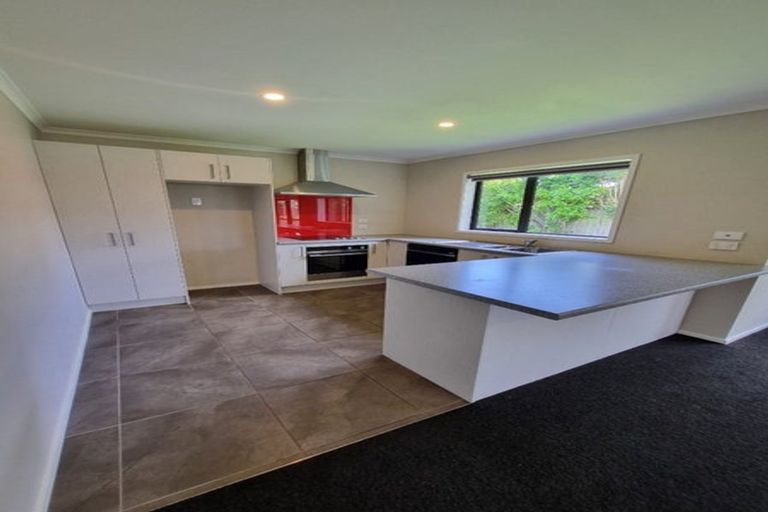 Photo of property in 19 Buckingham Place, Springvale, Whanganui, 4501