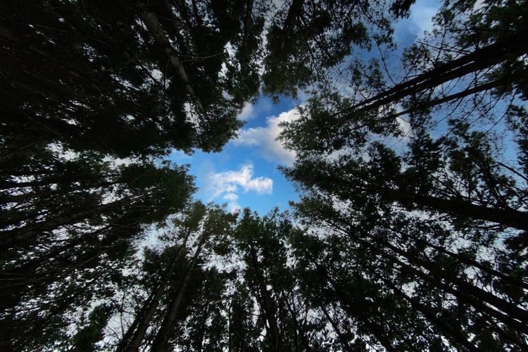 Photo of property in Long Gully Farm, 391 Southernthread Road, Brooklyn, Wellington, 6021