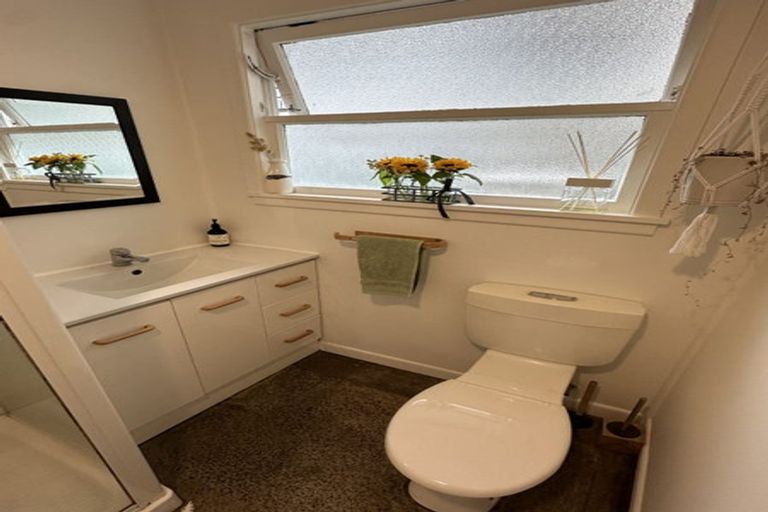 Photo of property in 25b Victoria Road, Mount Maunganui, 3116